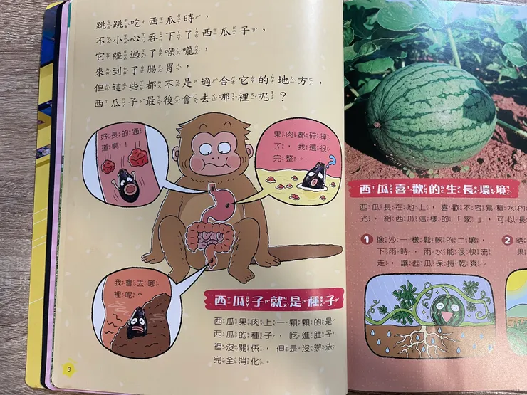 「如果吞了西瓜子」部分內頁