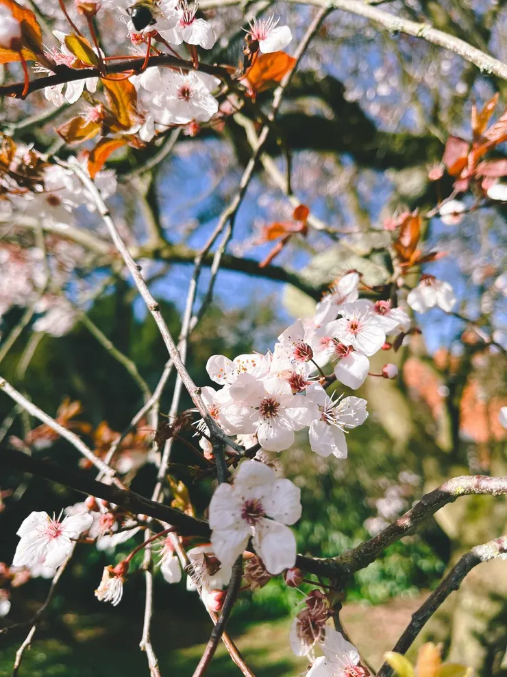photo taken in a park in Abington