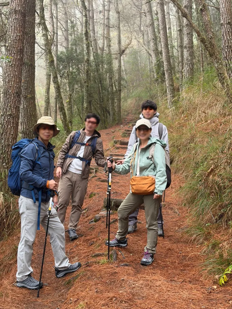 松針鋪地,拾階而上,出發