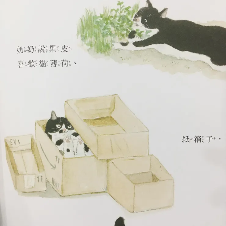 《呼喚我的貓》