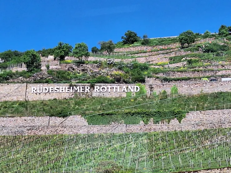 再見，呂德斯海姆