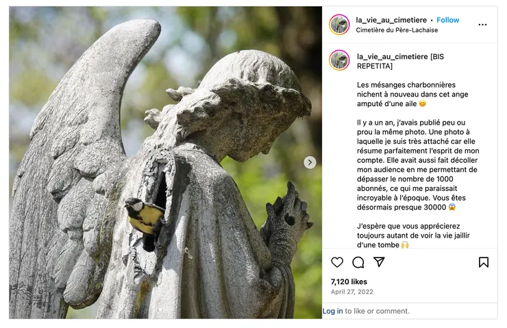 交織於墓園裡的死與生，截圖自作者的 Instagram la_vie_au_cimetiere。