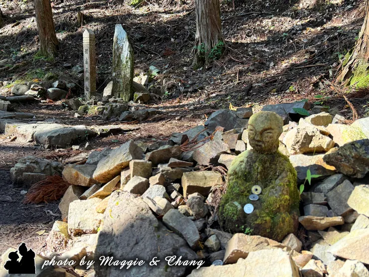 可愛小巧的豬鼻王子