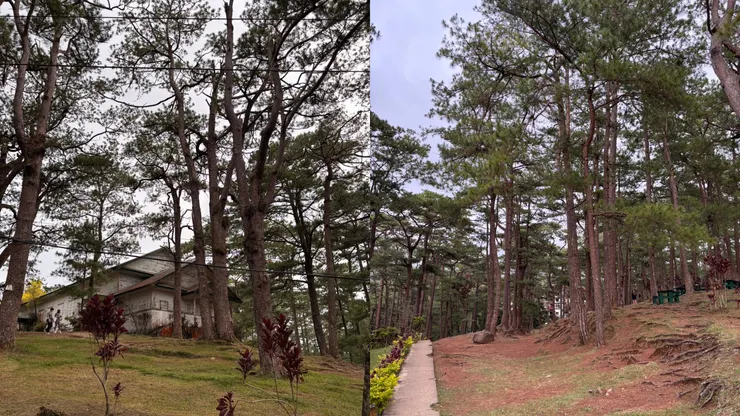 腹地廣大的約翰海軍營