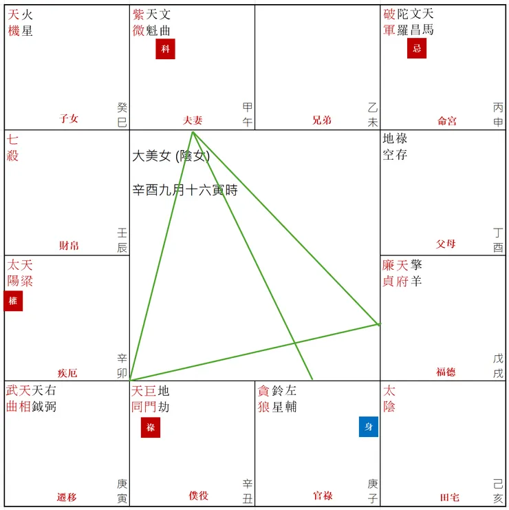 圖4. 紫微斗數-夫妻宮三方四正