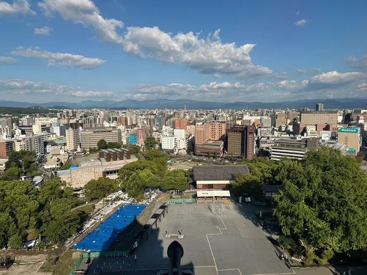 從大天守頂層看出去的風景,照片右下就是大銀杏樹