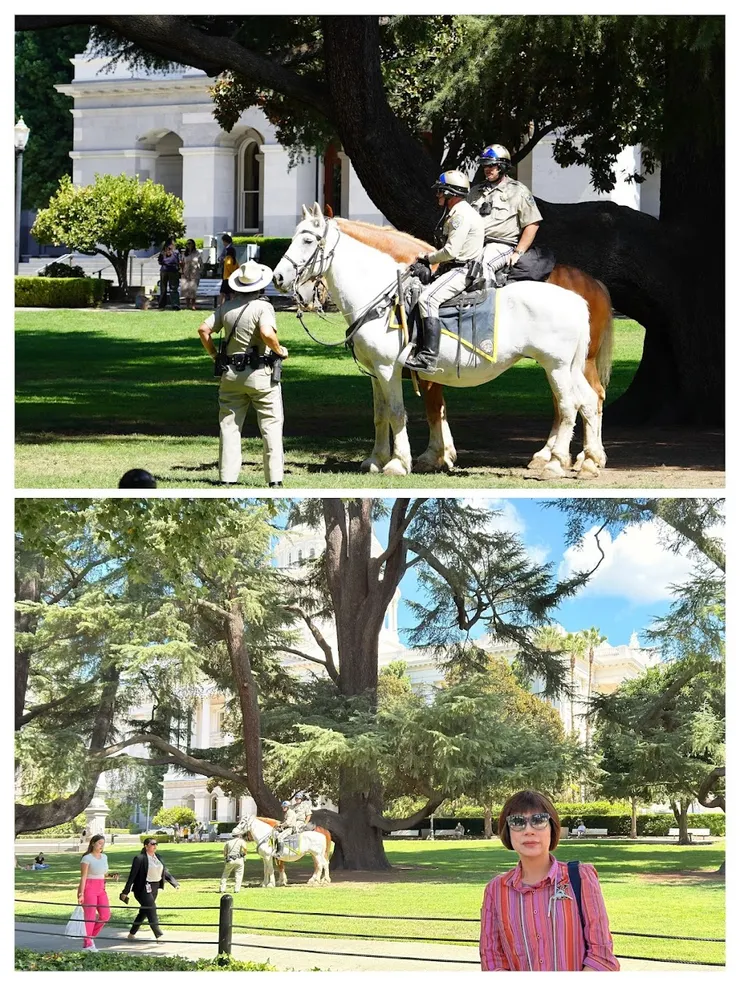 加州議會前的騎警