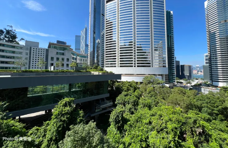 左面矮而長的新建大樓採用了大量玻璃,從山坡的叢林向前伸展。前方彎彎的大廈是附近的酒店,左邊可望見特色的中銀大廈,右邊一瞥維多利亞港。