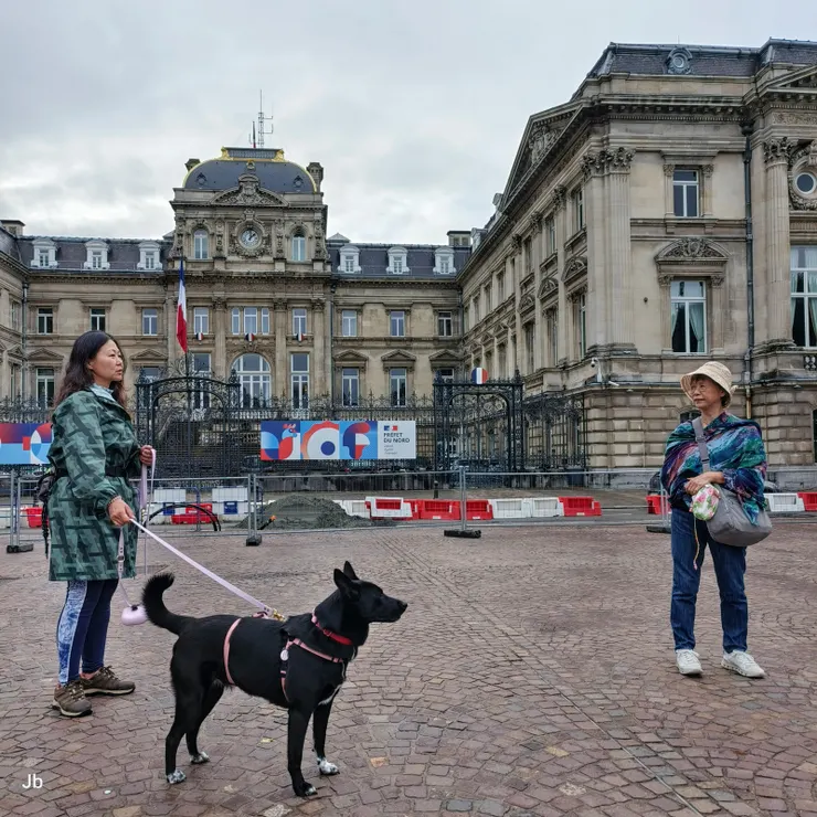 【再經過美術館依舊感到歡喜！美術館對面的里爾大區政府。】
