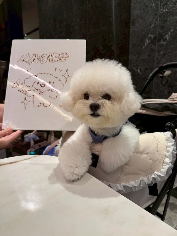 媽媽生日,結果畫的是萩比🤣