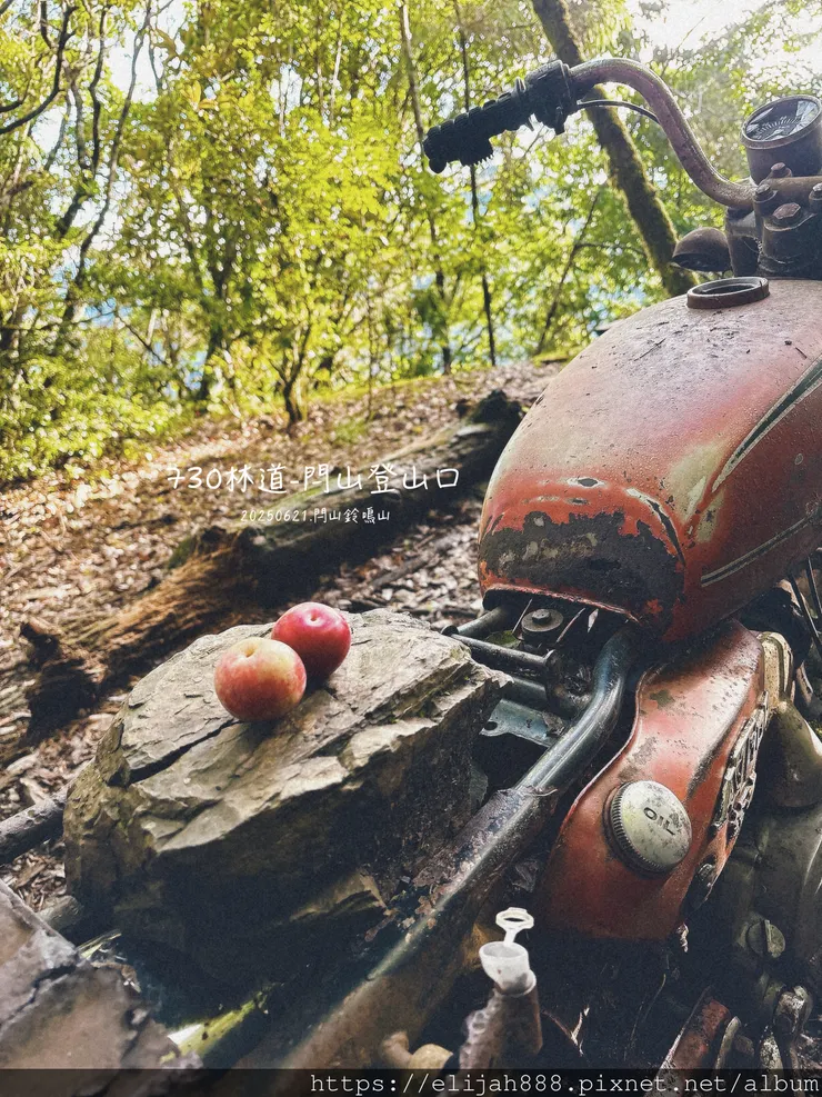 【閂山鈴鳴山.挑戰兩日走50公里】王小明民宿/730林道/ 