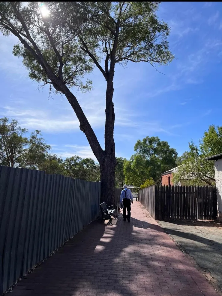 主角是拿著報紙的老人