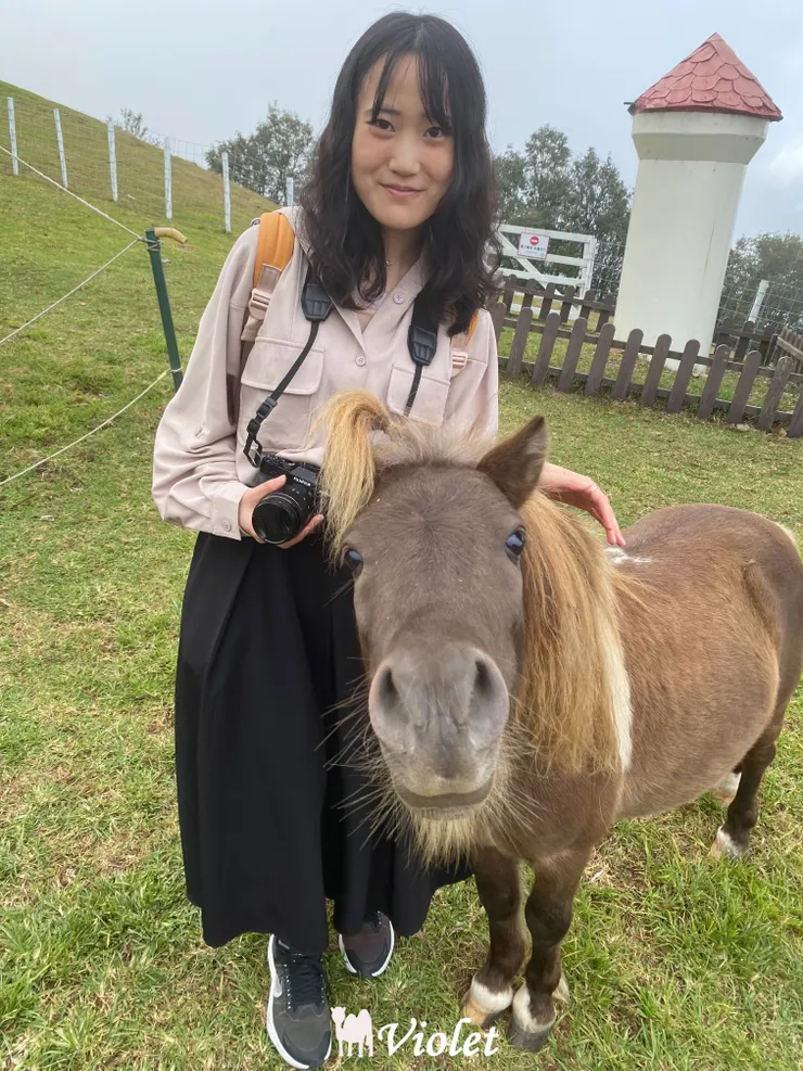 清境農場觀山牧區