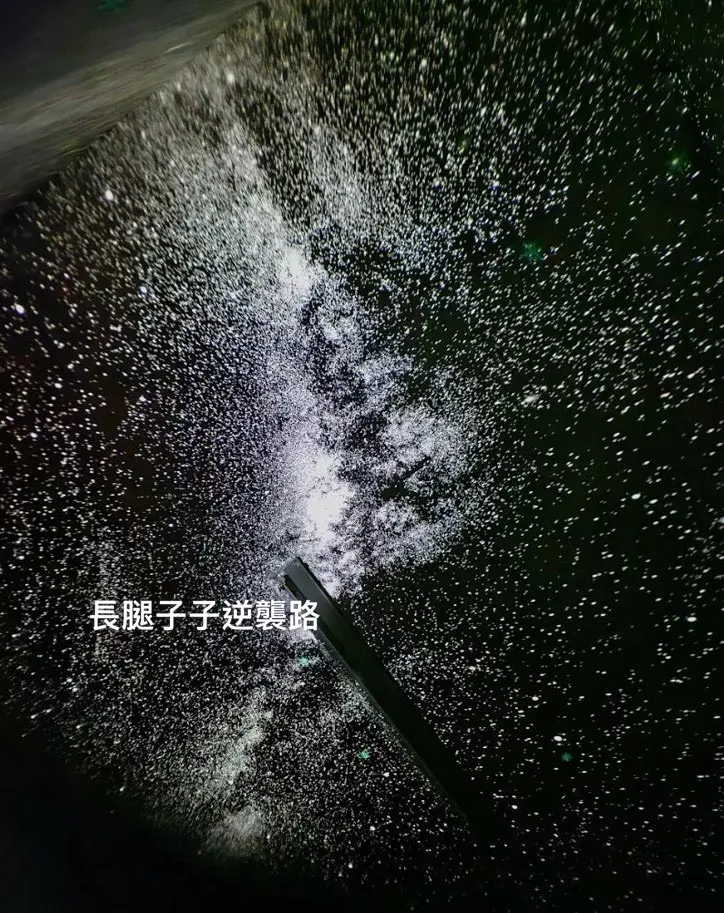 美呆了 每天看著星空入睡都不失眠了🚀