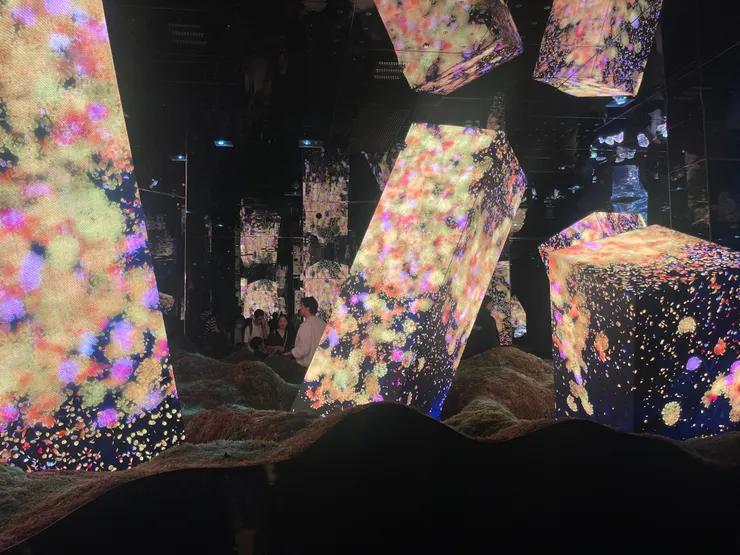 推薦把光影當作畫筆的 Teamlab