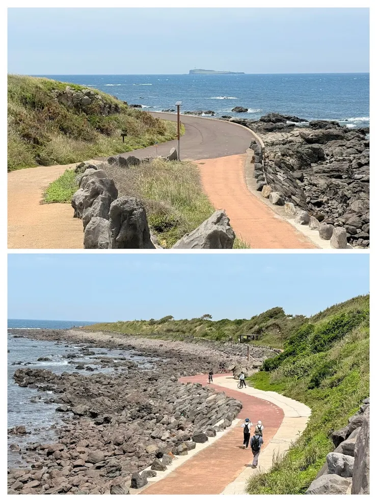 在加坡島的環島公路騎單車很愜意