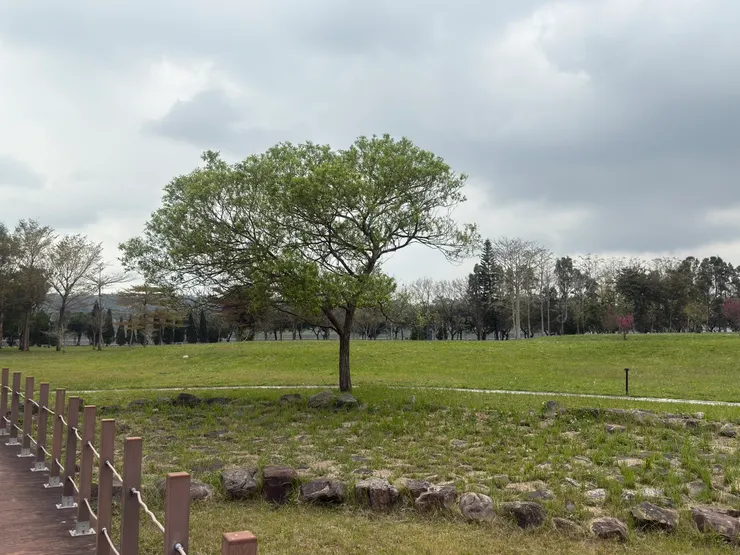 人站在木棧道上~雖說腳下是陂塘，但沒有水0w0