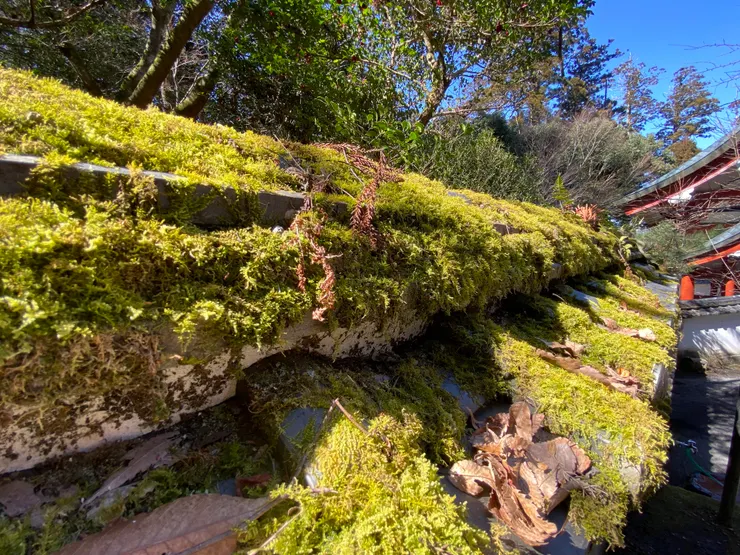 2024/02/14 九州自駕