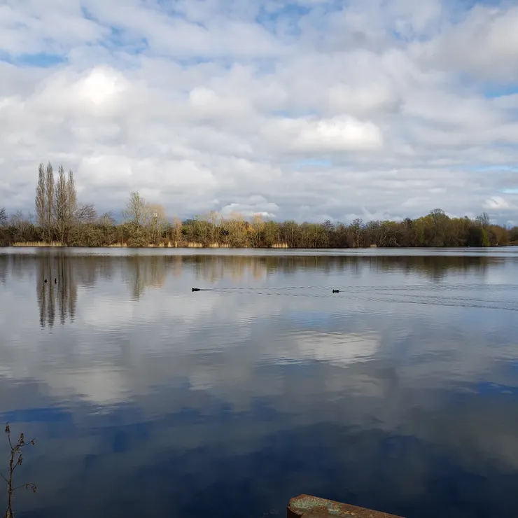 上星期到訪一個樂園，園內有此湖泊；恬靜環境，心頭大石卻始終未能放下。