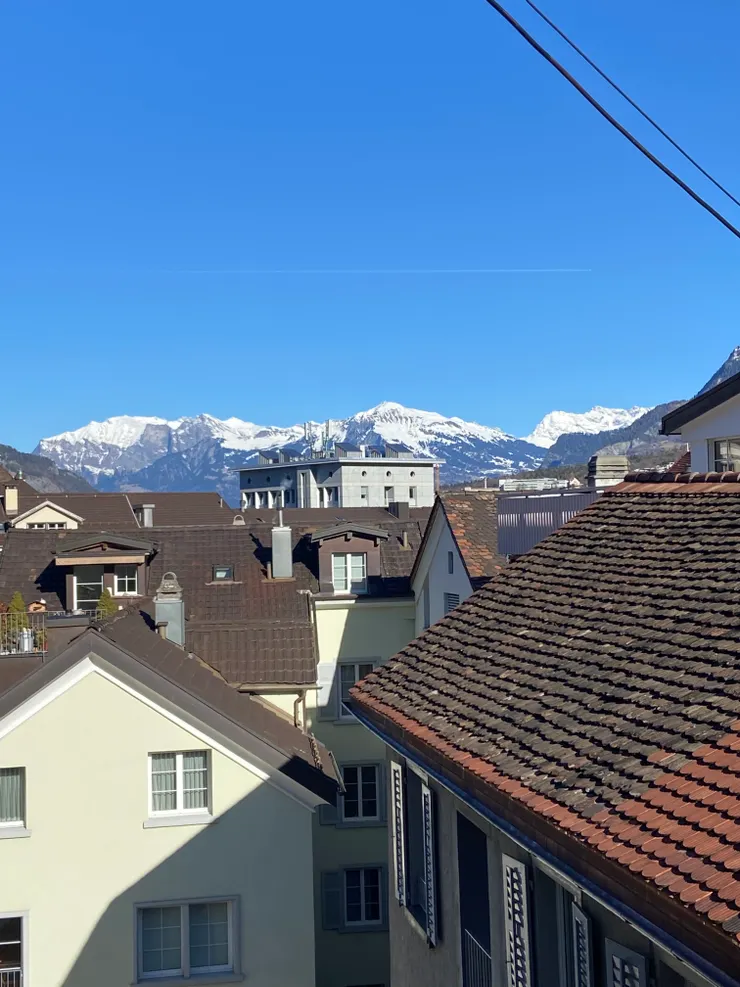 庫爾飯店外看到的山景