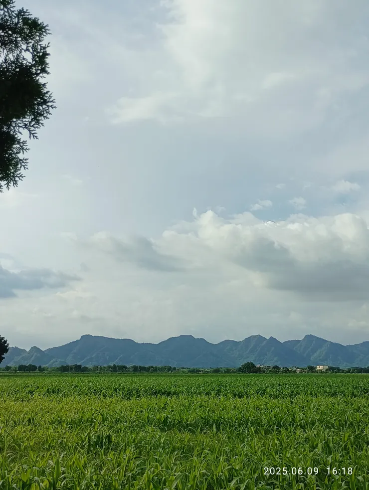 往美濃途中眺望“靈山”