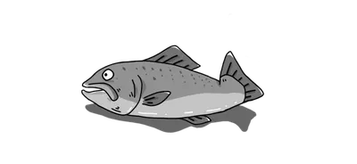 哈哈哈三文魚的碎碎念