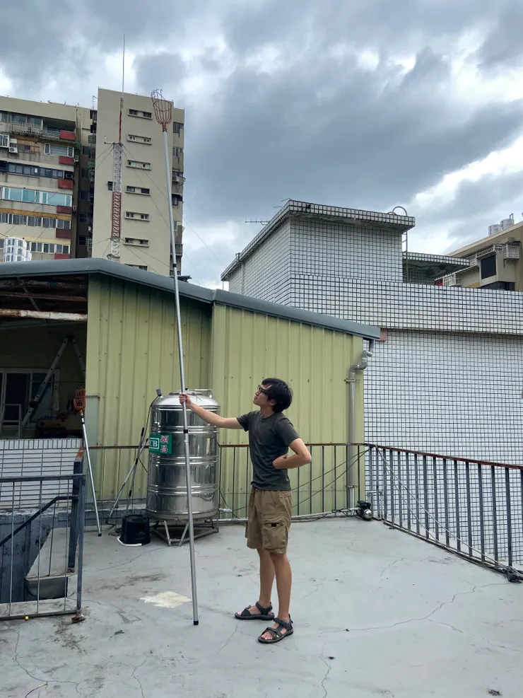 到芒果季尾聲才發現，採收的桿子能伸這麼長