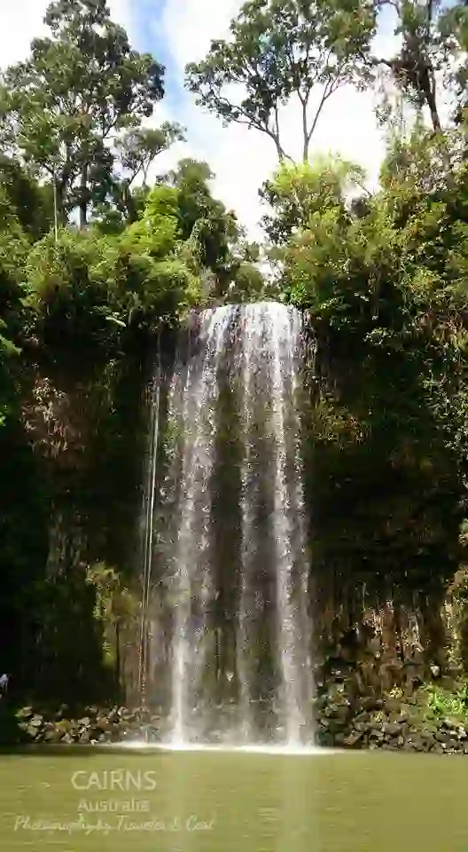 Millaa Millaa Falls 米拉米拉瀑布