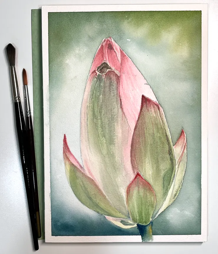 圖 YHCC@水彩練習 W36荷, 26x18cm, AUG2023