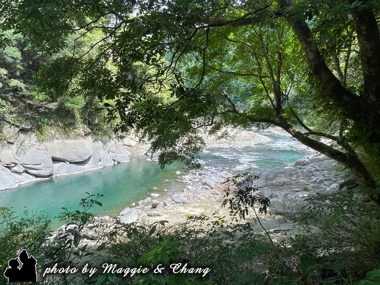 沿著溪畔漫步，透過層層樹影望去，溪水映著翠綠，靜靜流淌，讓人心也隨之平靜。