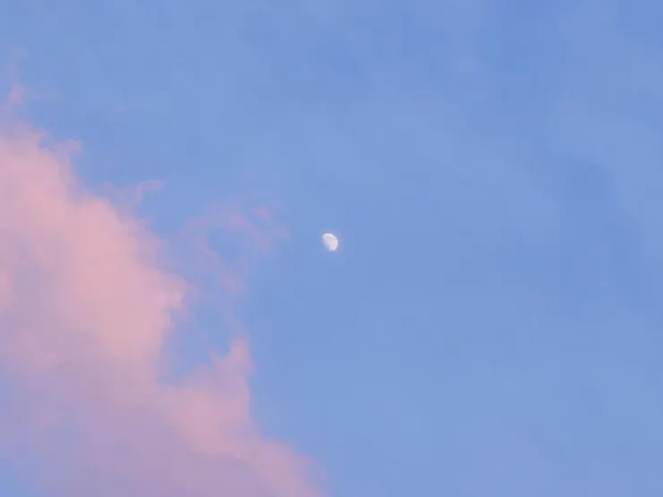 Source/IG@seonho__kim