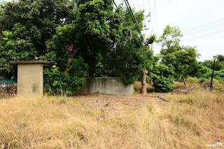 即將進入牛斗山車站&nbsp;-往大林方向拍&nbsp;