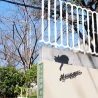 曬曬冬天的暖陽的沙龍