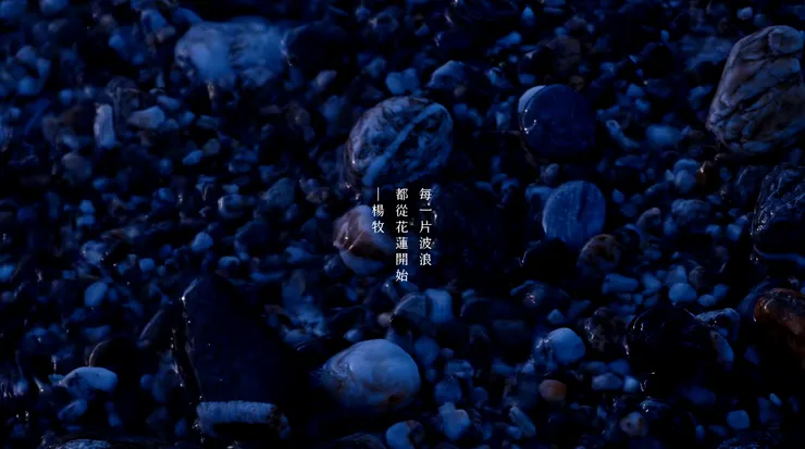 《繁花盛開We Bloom ! 2025 國際觀光形象影片系列》綻放篇