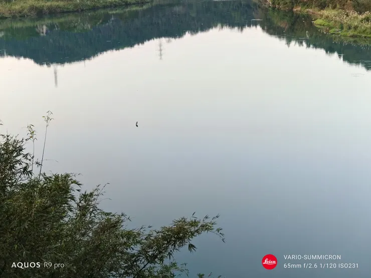 新店溪的夕色望遠視角(SHARP AQUOS R9 pro,65mm)