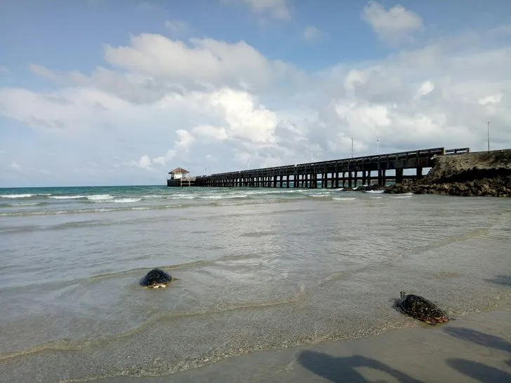 春蓬府 薩普里海灘（Saphli Beach）