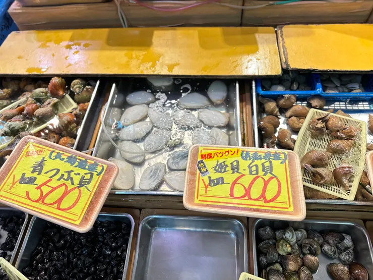 青森縣出產姬貝/白貝