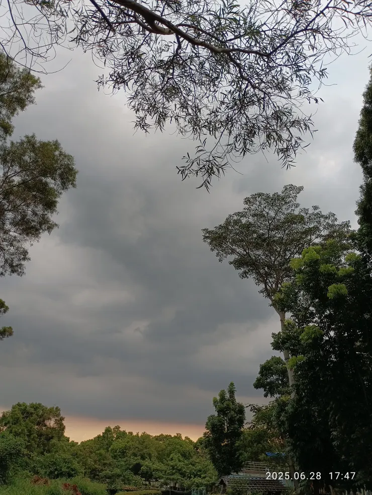 行雲怨抑霞蔚疏，自拍攝