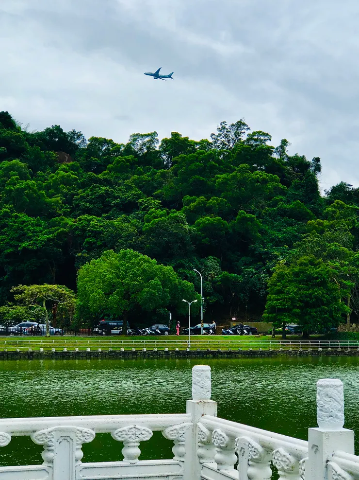 由於離松山機場很近，除了鳥類，還捕捉到飛機從碧湖上空飛過。