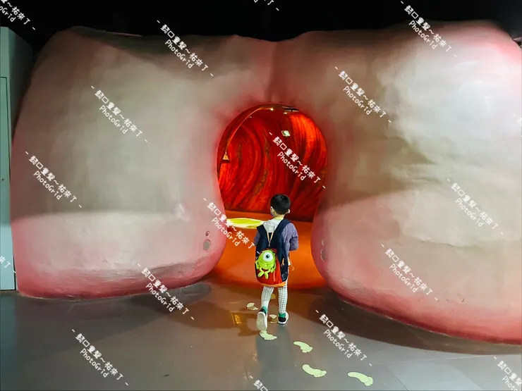 從括約肌出來了~這裡還有音效,實在是把我們笑翻了。