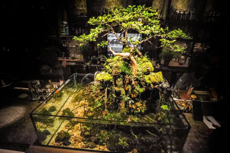 圖為2022年7月攝於Drizzle by Fourplay的舊照片