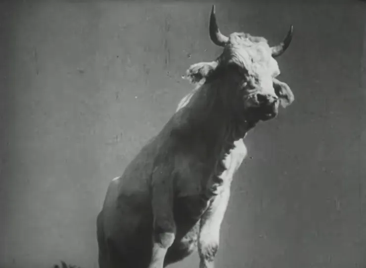 49.《土地》（Земля，1930）🇷🇺 dir. Alexander Dovzhenko