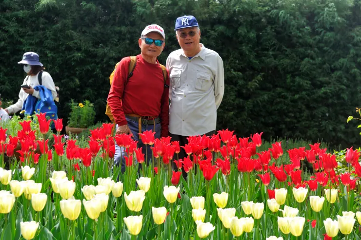 【縮腹留影白頭老翁對白頭翁,有感花謝會再開人老難少年。】