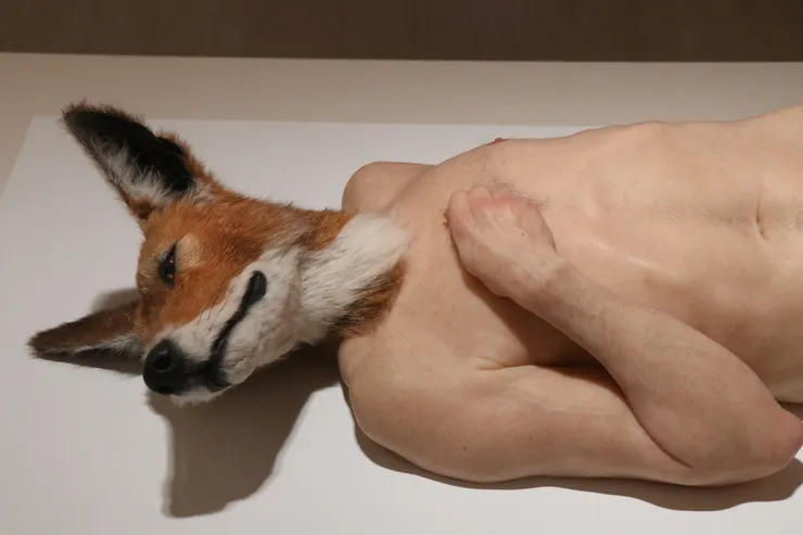 山姆．詹克斯（Sam Jinks）2008年創作的〈犬頭（Doghead）〉呈現的是祭品般柔美又脆弱的神態。（攝影／墨子卿）
