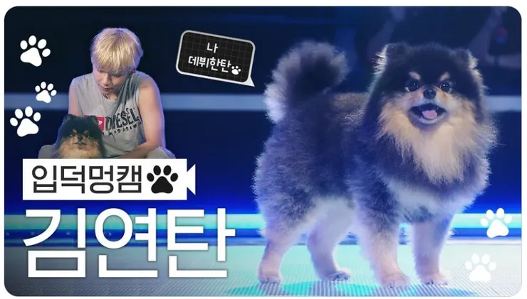 什麼?韓國打歌舞台居然有狗狗!