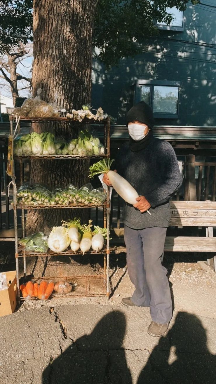 賣自種蔬菜的可愛爺爺