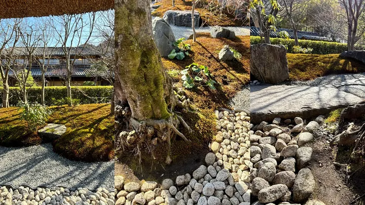 卵石、碎石、苔蘚、泥土與樹影，鋪成美麗的地毯。