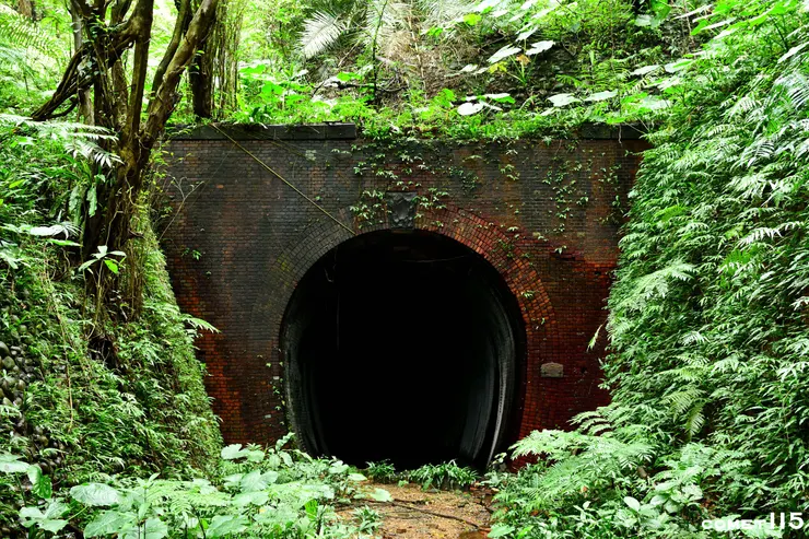 沒有太多的植物覆蓋的漂亮紅磚隧道，等待著尋找歷史的人前來