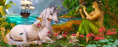 《丑小鸭的凌乱草稿》/《致拥我一人的阴暗角落》