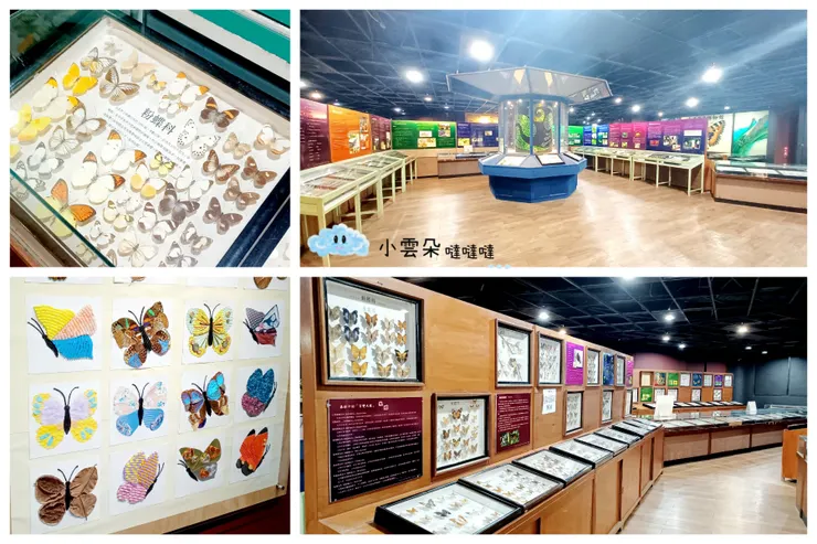 二樓標本館實在太值得參觀了！
